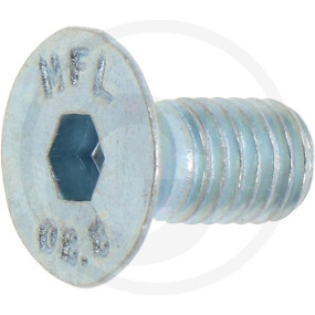 Vpe1 Senkschr.in6Kt,Din7991,Vz,M08X016 Granit 4857991 08X016 8V